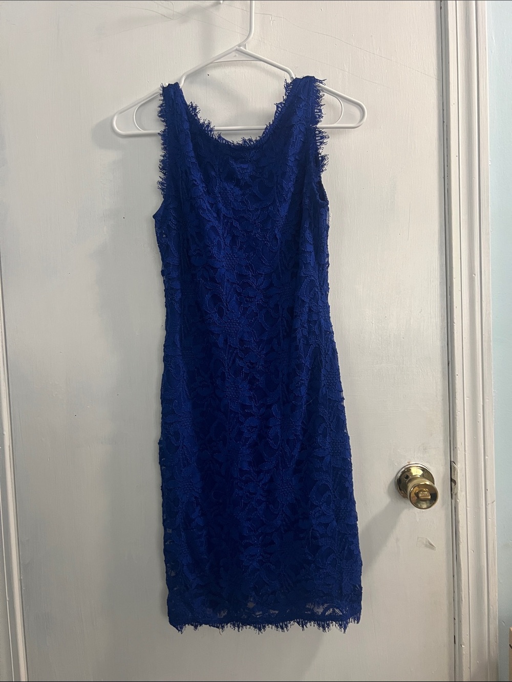 Jump Royal Blue Lace Sheath Dress